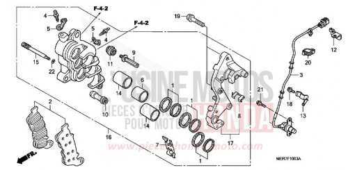 ETRIER DE FREIN AVANT (D.) (CBF600SA8/NA8) CBF600SA8 de 2008